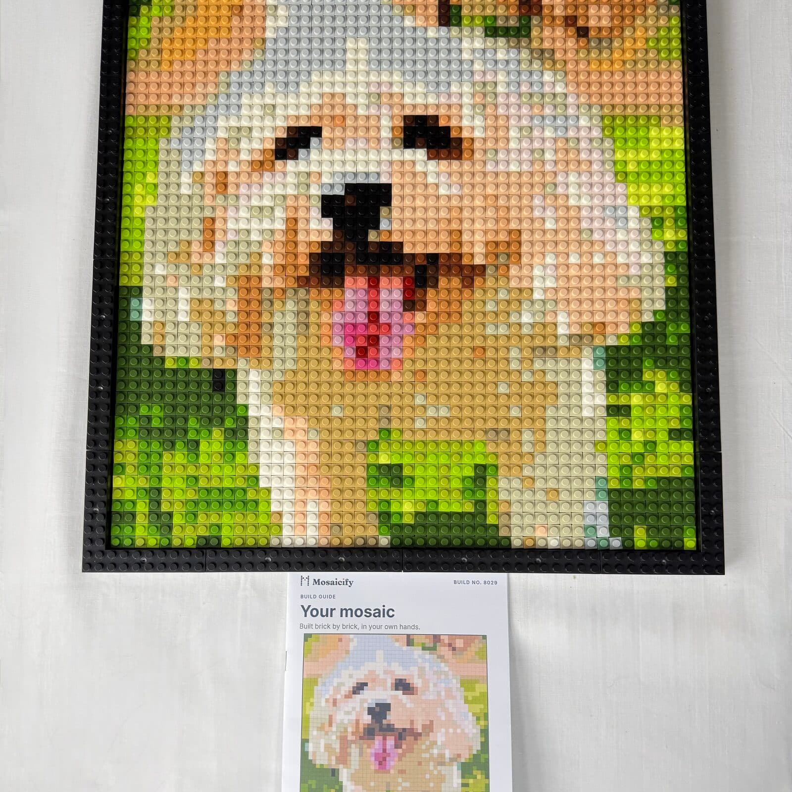 The finished framed dog mosaic beside its build booklet