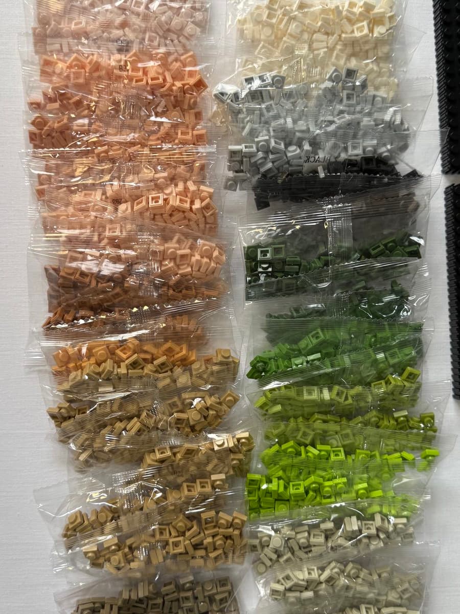 Rows of bricks weighed and bagged by colour